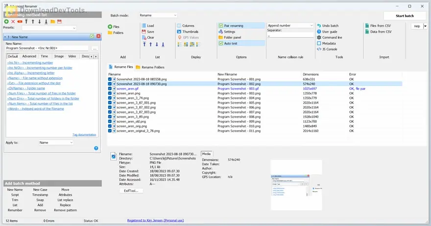 ReNamer Pro Free Download for pc latest version